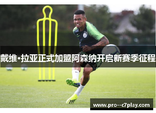 戴维·拉亚正式加盟阿森纳开启新赛季征程